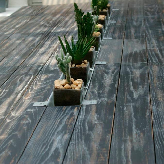 decorar-con-plantas