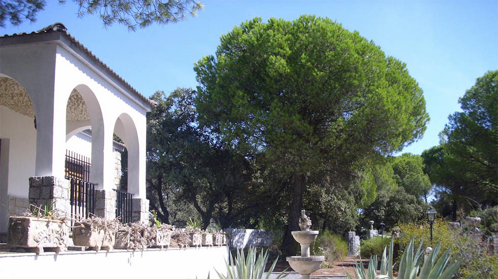 Casa en Sierra Morena