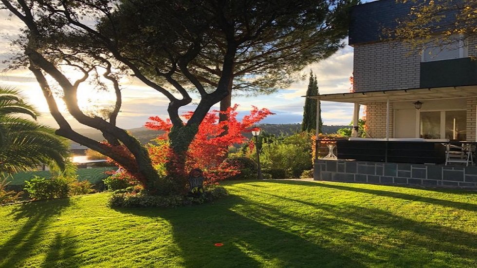 Jardines para disfrutar del puente