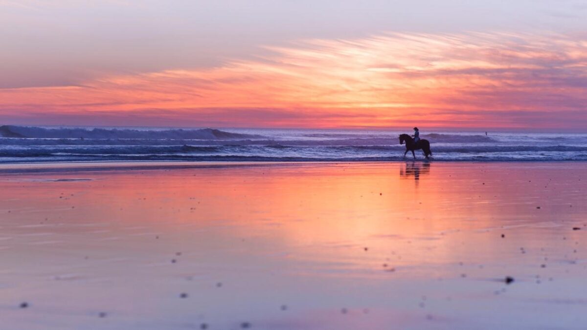playa El Palmar Descubre cuáles son las mejores playas de España
