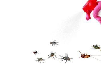 Repelentes de insectos para el hogar: ¿electrónicos o químicos?