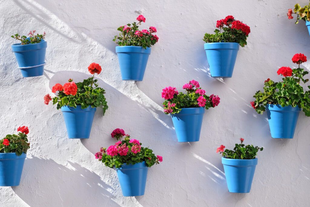 Pared de geranios - Getty Images
