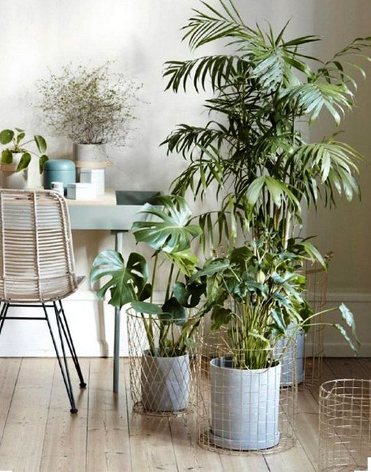 Tendencias de decoración para 2016 - Fotocasa Life Tendencias_Decoracion16