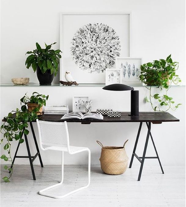 organizar_espacio_trabajo