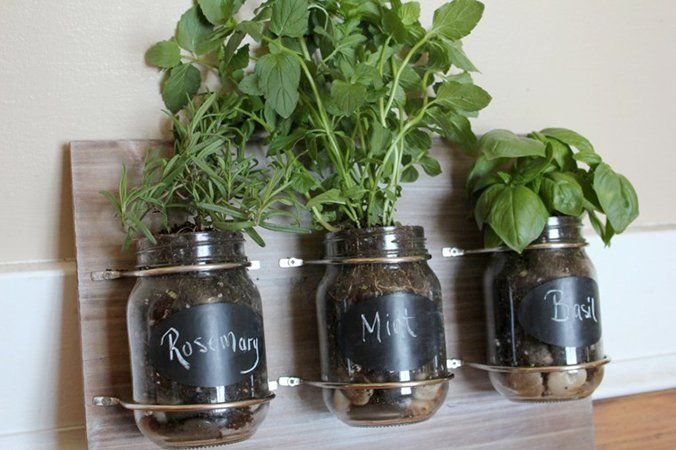 Huerto_urbano_tarros_cristal