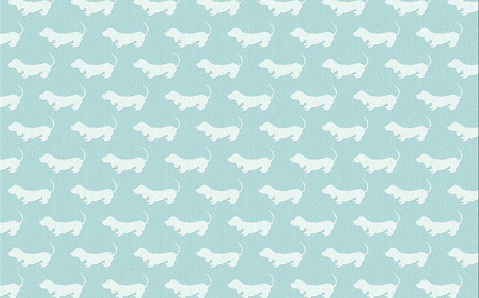 Cómo colocar papel pintado (I) - Fotocasa Life Como colocar papel pintado