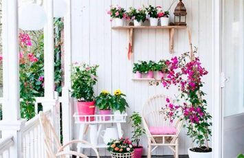 Los beneficios de tener plantas en casa