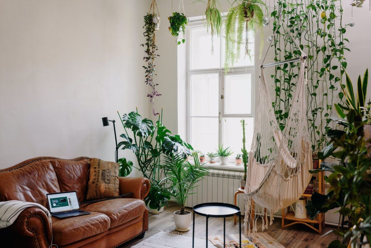 Los beneficios de tener plantas en casa - Fotocasa Life - decoración, Interiorismo, Jardinería, naturaleza, Plantas, Ruido - Decoración - Antes de nada, debes eliminar ciertas ideas preconcebidas respecto a las plantas en casa. La más extendida es que no es aconsejable tener muchas plantas en el dormitorio, puesto que nos “roban” el oxígeno durante la noche. Si bien es cierto que cuando hacen la fotosíntesis estas “respiran” como nosotros, la cantidad de dióxido de carbono que expulsan es tan pequeña que no debes temer nada. Así que no te dejes llevar por los falsos mitos: las plantas en el dormitorio son tan aconsejables como en el resto de la casa.