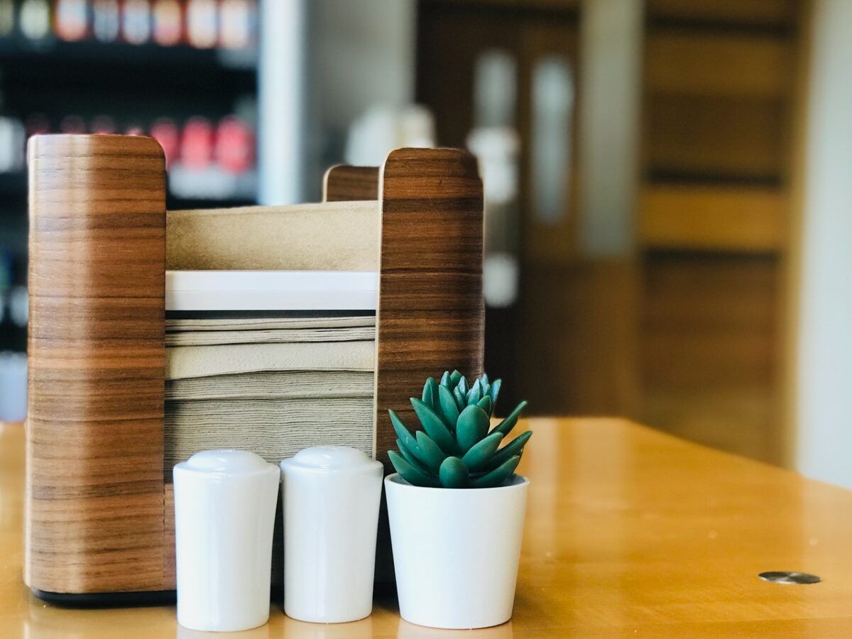 como decorar con plantas en macetas pequeñas