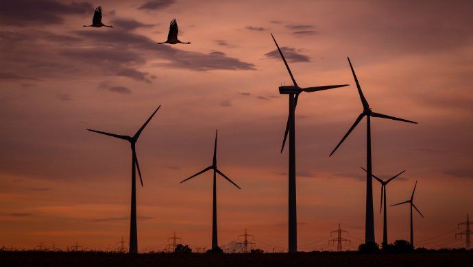 Las energías renovables más asequibles para el bolsillo