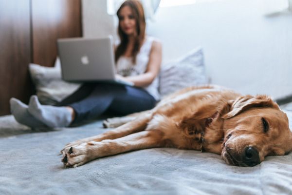 las ventajas de vivir solo