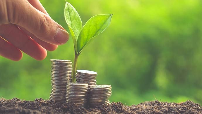 Cómo sacar el máximo partido a tu dinero