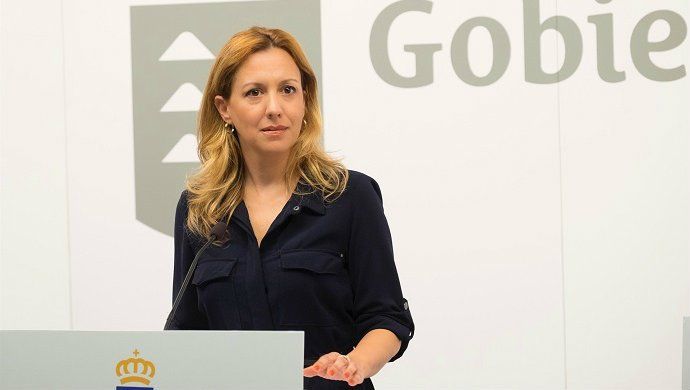 El Gobierno de Canarias recurrirá la sentencia del TSJC contra el decreto de alquiler vacacional