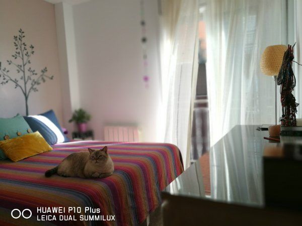 Cómo sacar fotos con tu móvil y vender más con la fotografía inmobiliaria (1ª parte) - Fotocasa Life - fotos, huawei, móvil - Vender piso - Es indudable que los móviles han sustituido en muchos casos a las cámaras fotográficas tradicionales, sobre todo en lo que a fotos personales y viajes se refiere. Su evolución ha sido meteórica y los últimos modelos son ya perfectos también para usos profesionales, como los que requiere la fotografía inmobiliaria. Pero ¿cómo podemos sacar buenas fotografías de un inmueble en concreto con el móvil? Aquí van algunas pistas.