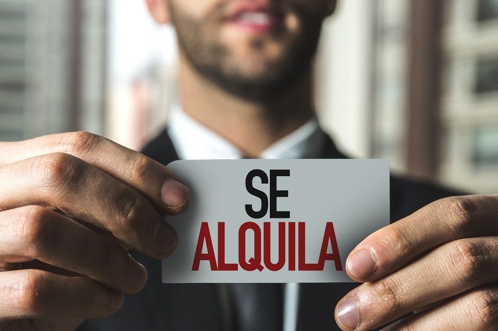 consejos para antes de alquilar Alquilar paso a paso