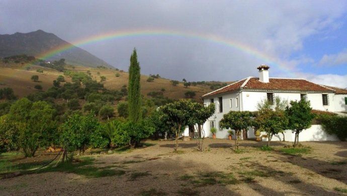 Viviendas para disfrutar de la primavera