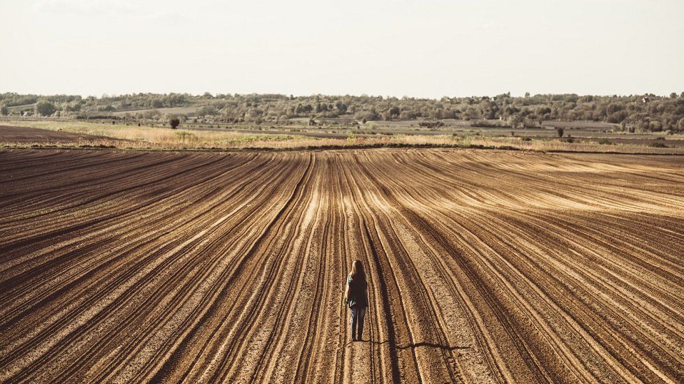 He heredado unos terrenos y quiero venderlos ¿puedo hacerlo?