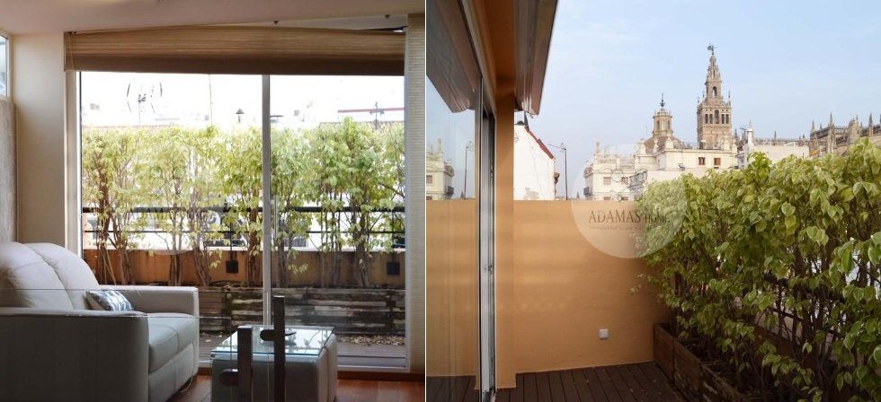 Viviendas con terrazas encantadoras - Fotocasa Life - áticos con terraza, Decoración de terrazas, Terraza, terraza de verano, terraza decoración - Compraventa, Decoración - Las terrazas pueden serlo casi todo en una vivienda. ¿Buscas luz, vistas y aire fresco? Aquí tienes seis viviendas con terrazas encantadoras.