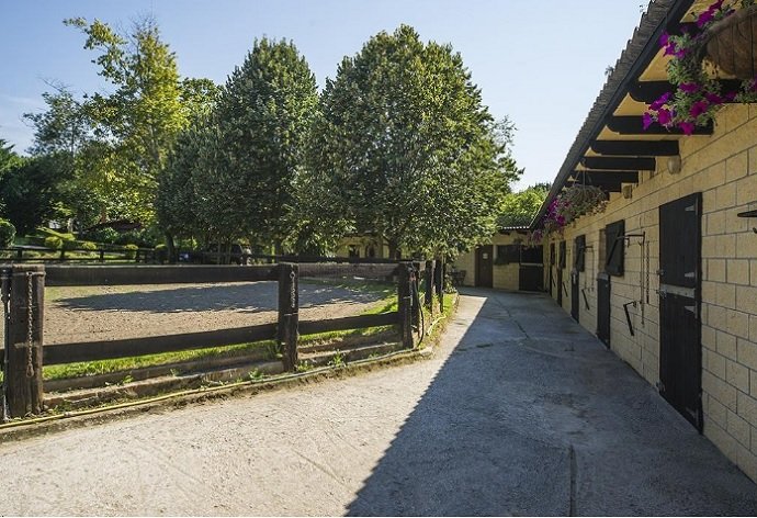 Viviendas curiosas: una cabaña en plena naturaleza - Fotocasa Life - Casas curiosas, naturaleza - Curiosidades - Llueva, nieve o haga un sol estupendo, vivir en plena naturaleza siempre es maravilloso. Esta cabaña al norte te dejará sin palabras.