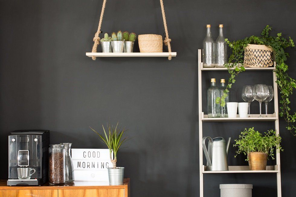 Los beneficios de tener plantas en casa - Fotocasa Life - decoración, Interiorismo, Jardinería, naturaleza, Plantas, Ruido - Decoración - Antes de nada, debes eliminar ciertas ideas preconcebidas respecto a las plantas en casa. La más extendida es que no es aconsejable tener muchas plantas en el dormitorio, puesto que nos “roban” el oxígeno durante la noche. Si bien es cierto que cuando hacen la fotosíntesis estas “respiran” como nosotros, la cantidad de dióxido de carbono que expulsan es tan pequeña que no debes temer nada. Así que no te dejes llevar por los falsos mitos: las plantas en el dormitorio son tan aconsejables como en el resto de la casa.