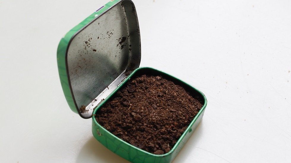 [ENCUESTA] ¿Cuáles son tus hábitos de cuidado del medio ambiente?