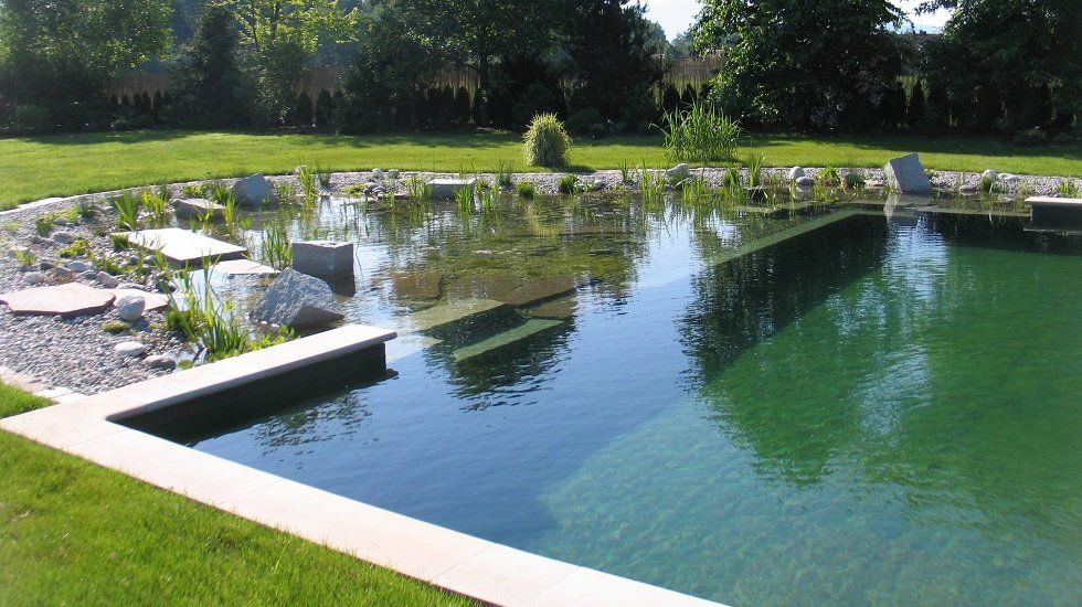 precio piscina natural piscinas naturales