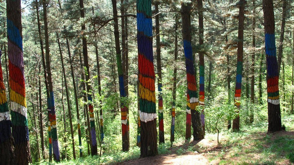 Vivir cerca del bosque: cinco viviendas de cuento - Fotocasa Life Vivir cerca del bosque: cinco viviendas de cuento - Fotocasa Life - casa, Casas bonitas, Casas curiosas, Casas de campo, Casas de montaña, Casas rústicas, naturaleza - Curiosidades - Si bien es imposible vivir en el corazón de estos parajes (por suerte, la mayoría están protegidos como reservas naturales), sí tenemos la oportunidad de mudarnos cerca de ellos. Así que hoy nos hemos propuesto encontrar cinco viviendas de cuento muy cerca de los bosques más bellos del país.