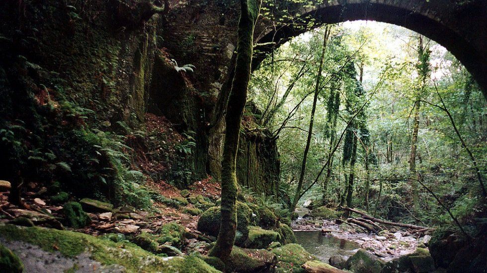 Vivir cerca del bosque: cinco viviendas de cuento - Fotocasa Life Fragas do Eume