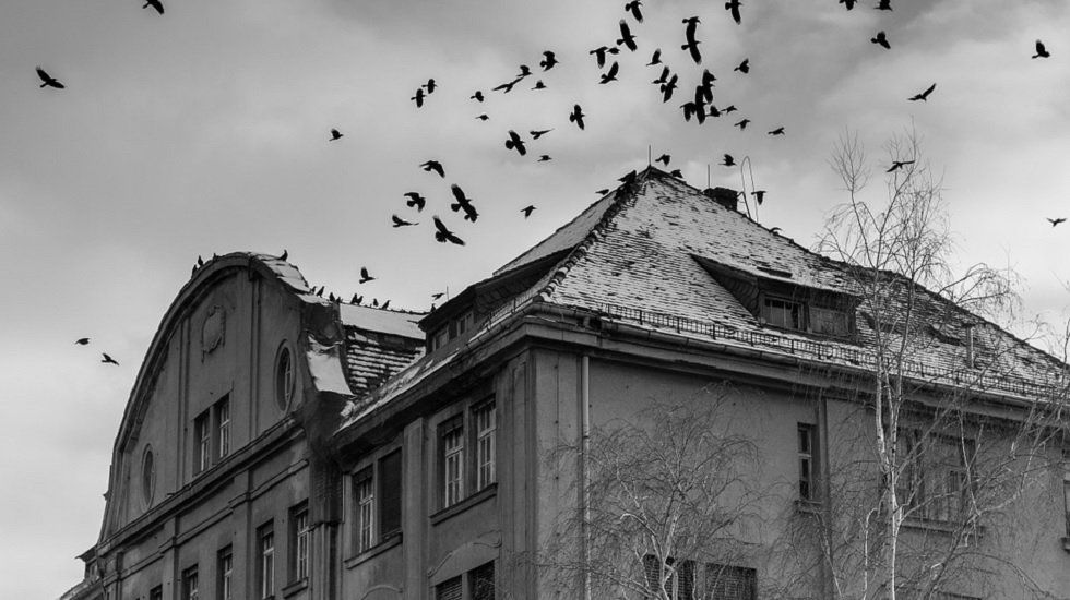Casas espectaculares para celebrar Halloween