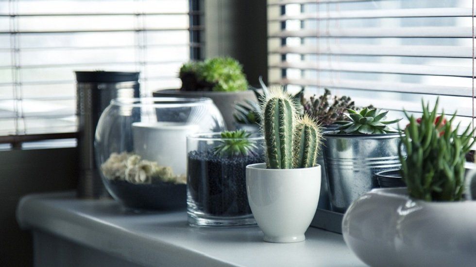 Tendencias de otoño para decorar una casa - Fotocasa Life Tendencias de otoño para decorar una casa - Fotocasa Life - Decoración de otoño, Otoño - Decoración, Inspiración - habitissimo propone tendencias que tendrán un rotundo éxito en nuestros hogares, y generarán el confort y la calidez necesaria para afrontar el otoño.