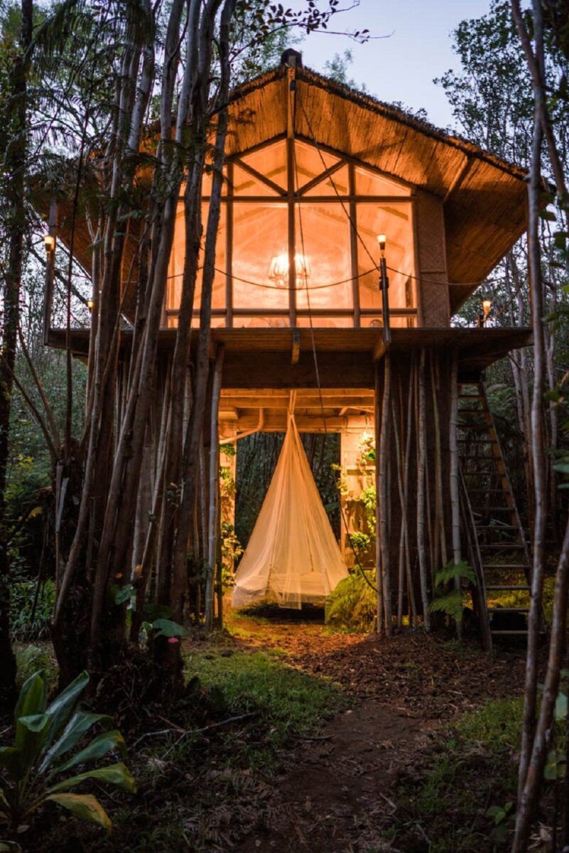 Una casa en un árbol, pero de verdad y para alquilar - Fotocasa Life Una casa en un árbol, pero de verdad y para alquilar - Fotocasa Life - Casas curiosas - Curiosidades - Que los niños norteamericanos sueñan con tener una casa en un árbol es un clásico. Hoy te mostramos una casa en el árbol de verdad.