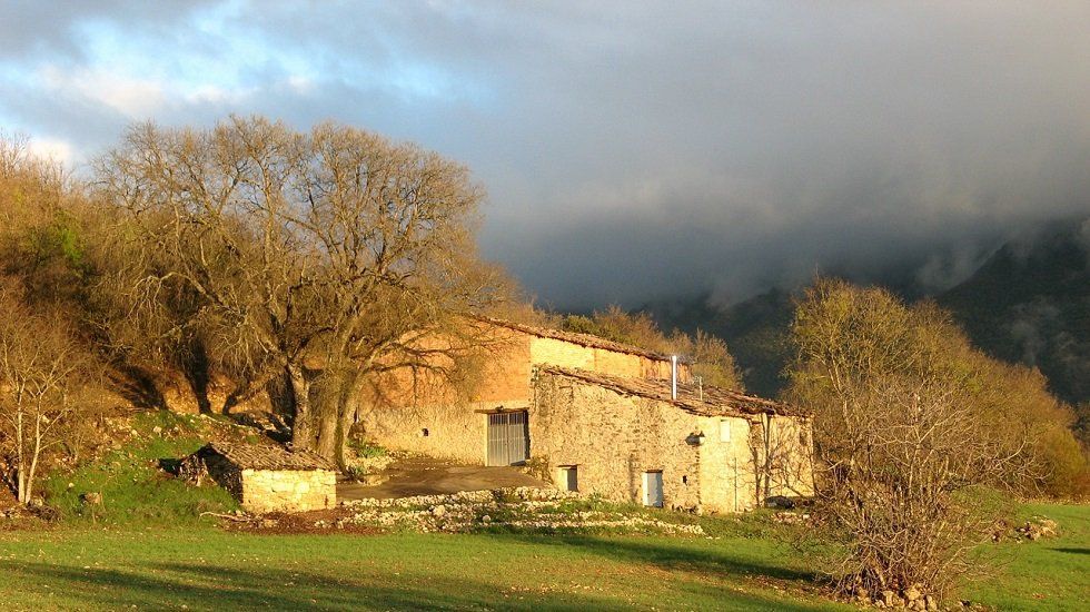 El Gobierno quiere impulsar el mundo rural