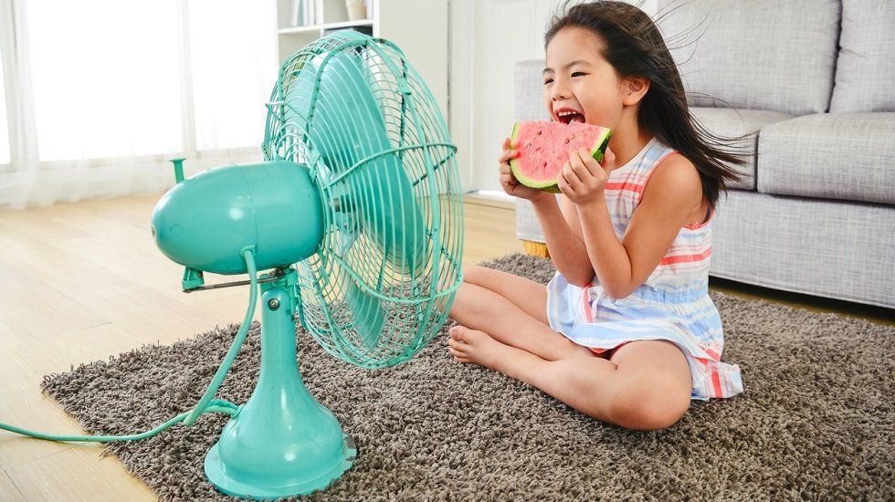 Prepara tu hogar para el verano de forma eficiente