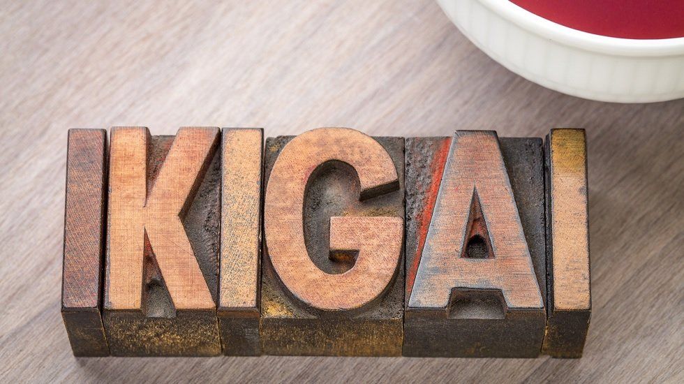 Cinco consejos del Ikigai que podemos aplicar en casa