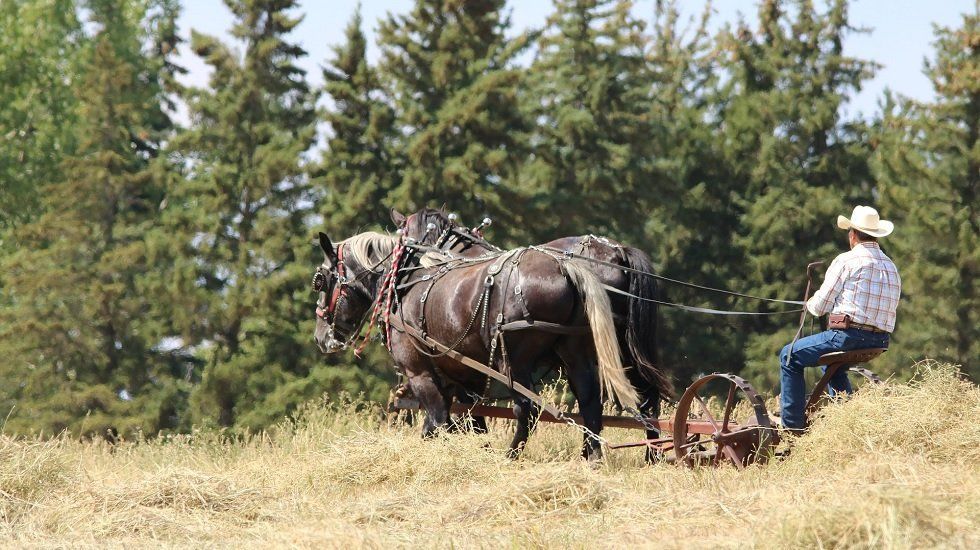 ¿Qué es y para qué sirve el plano georreferenciado de una finca?