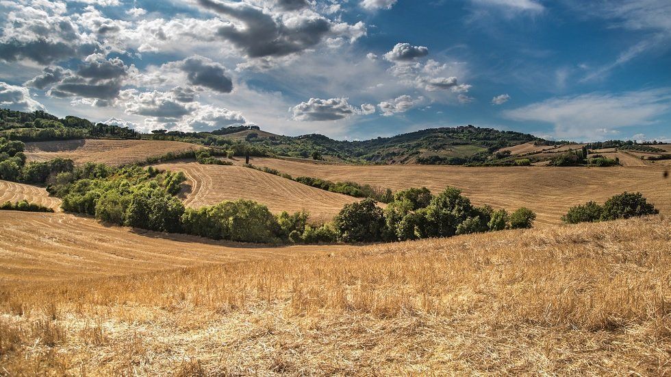 ¿Quieres segregar un terreno en varias fincas registrales?