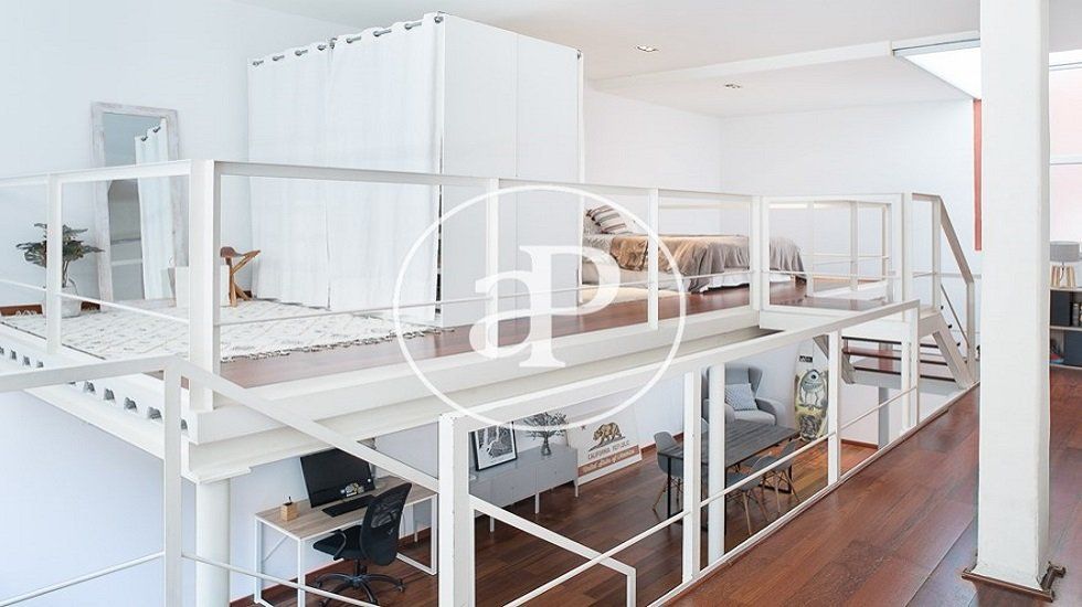 Lofts a la última moda