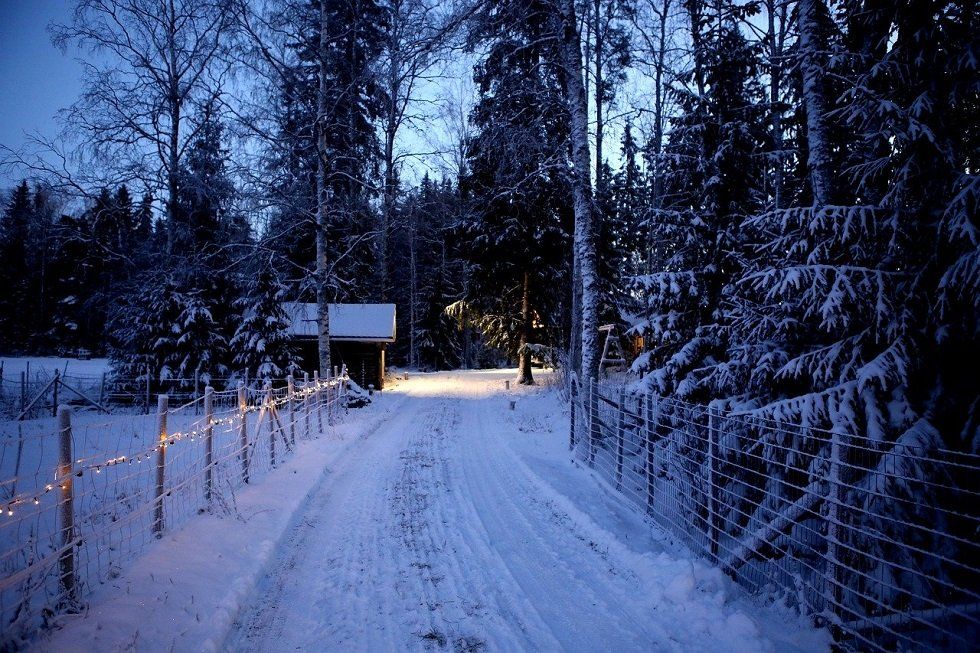 Apartamentos para disfrutar de la nieve