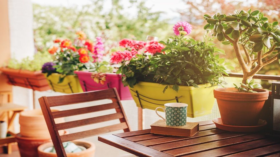 Madera y plantas en balcones pequenos