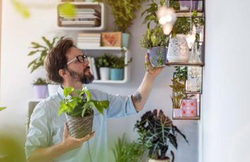 Cómo elegir las plantas de interior para decorar tu casa