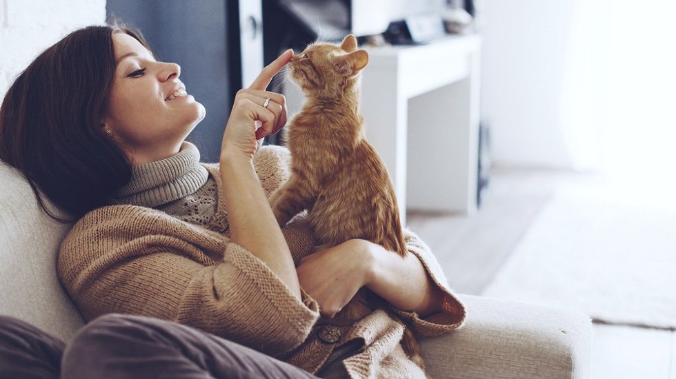 Solo el 5% de los pisos de alquiler aceptan mascotas, según datos de Fotocasa - Fotocasa Life - Alquiler, Alquiler de viviendas, animales, Casas con jardín, LAU, mascotas, Pisos con terrazas, seguro de hogar, seguro de mascota - Alquiler - En España hay alrededor de trece millones de mascotas censadas. Si tenemos en cuenta que, según el portal inmobiliario Fotocasa, solo el 5% de los pisos de alquiler las acepta, únicamente 650.000 podrían vivir en ellos. De estos trece millones, el 94% son perros, el 6% gatos, y el 1% restante engloba el resto de mascotas, la mayoría de las cuales son conejos.