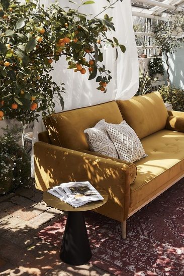 plantas de exterior en decoración