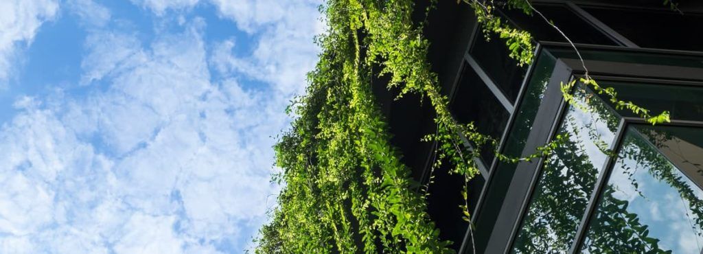 5 reformas y mejoras para un hogar sostenible