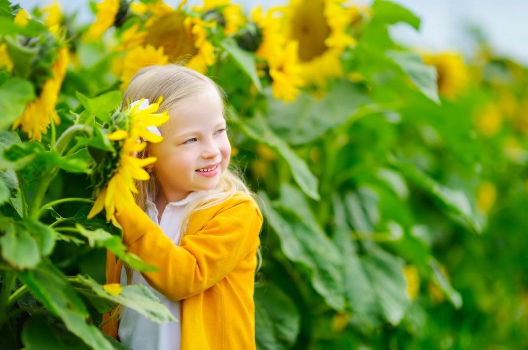 Cómo conseguir un jardín de revista en primavera - Fotocasa Life Cuidadar jardín primavera