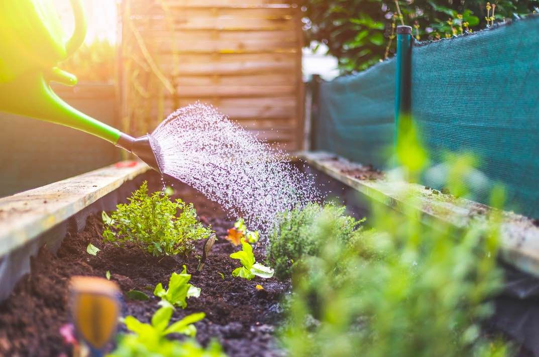Cómo conseguir un jardín de revista en primavera - Fotocasa Life Jardín en primavera
