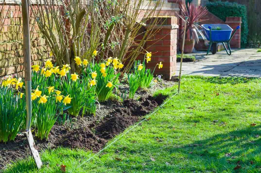 Cómo conseguir un jardín de revista en primavera - Fotocasa Life Jardín primavera
