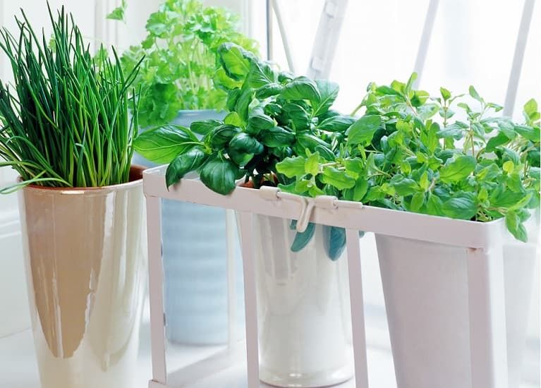 hierbas aromaticas Cinco proyectos de bricolaje para hacer esta primavera - Fotocasa Life - Cambiar decoración casa, casas para la primavera, decoración, decorar una casa con plantas, Madera, Plantas, Primavera - Decoración, Inspiración - Puede que el invierno sea la estación menos apetecible del año, no lo discutiremos. Pero hay una manera de hacerlo más llevadero y es apreciar sus encantos. Porque los tiene. Los primeros rayos de sol, por ejemplo, que desde finales de febrero ya empezamos a disfrutar en nuestras terrazas y balcones, signo de que la primavera se acerca. ¡Y esa sí que es una buena noticia!