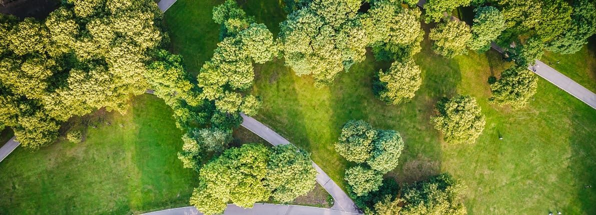 Construcción en zonas verdes: todo lo que debes saber