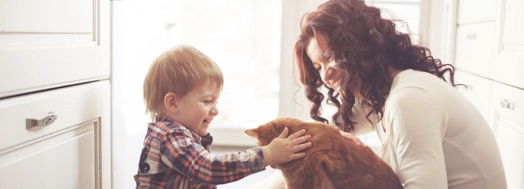 ¿Nos pueden prohibir tener una mascota en un piso de alquiler?