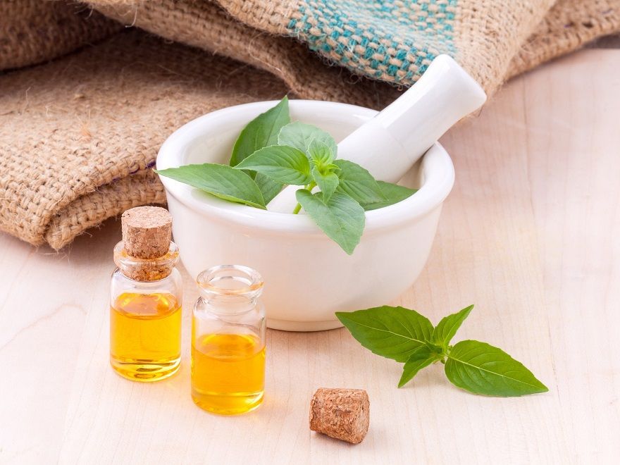 albahaca limón Las 7 plantas antimosquitos más efectivas del mercado - Fotocasa Life - calor, hogar, Plantas, Verano - Inspiración - La subida de las temperaturas conlleva siempre la llegada de mosquitos. Estos pequeños insectos suelen resultar muy incómodos, tanto si estamos al aire libre como dentro de nuestra casa. Sin embargo, existen diversas formas de evitarlos de manera natural, como las plantas antimosquitos o las velas repelentes.